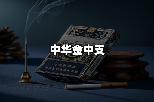 中华金中支